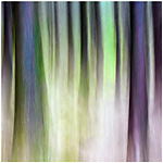 Intentional Camera Movement